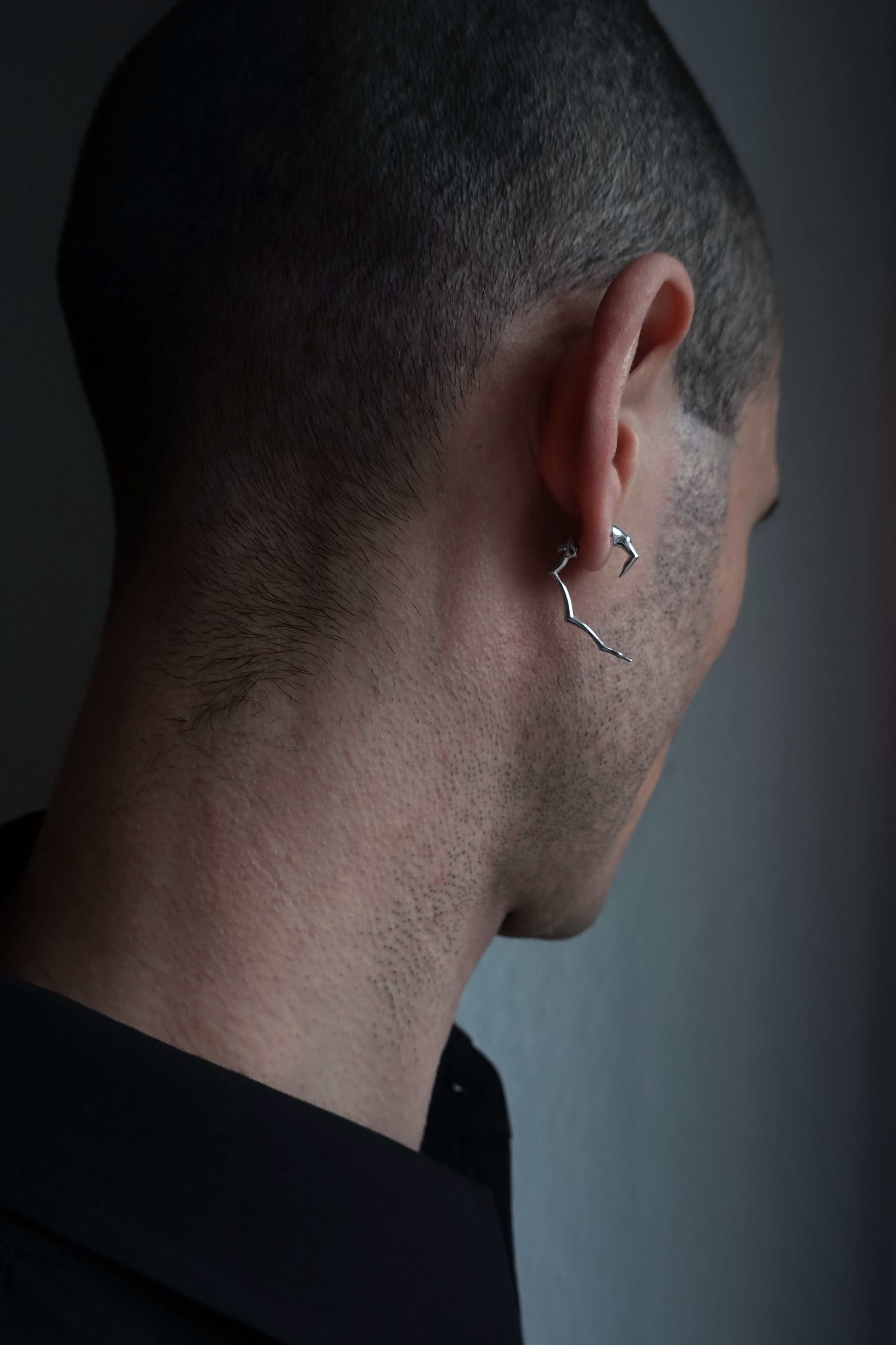 Earrings 'Petit hook'